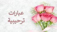 ما هو الرد على عبارات الترحيب