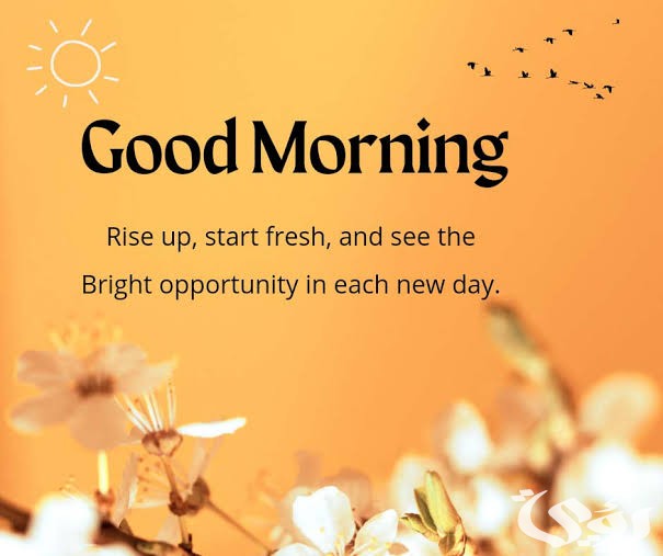 images 2023 01 06T233725.764