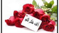 ما هو الرد على عبارات التهنئة