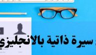 نموذج cv بالانجليزي جاهز