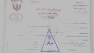 نموذج 110 جند جاهز