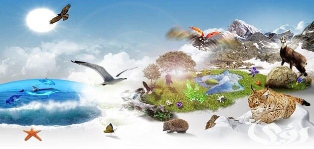 بحث عن التنوع البيولوجي