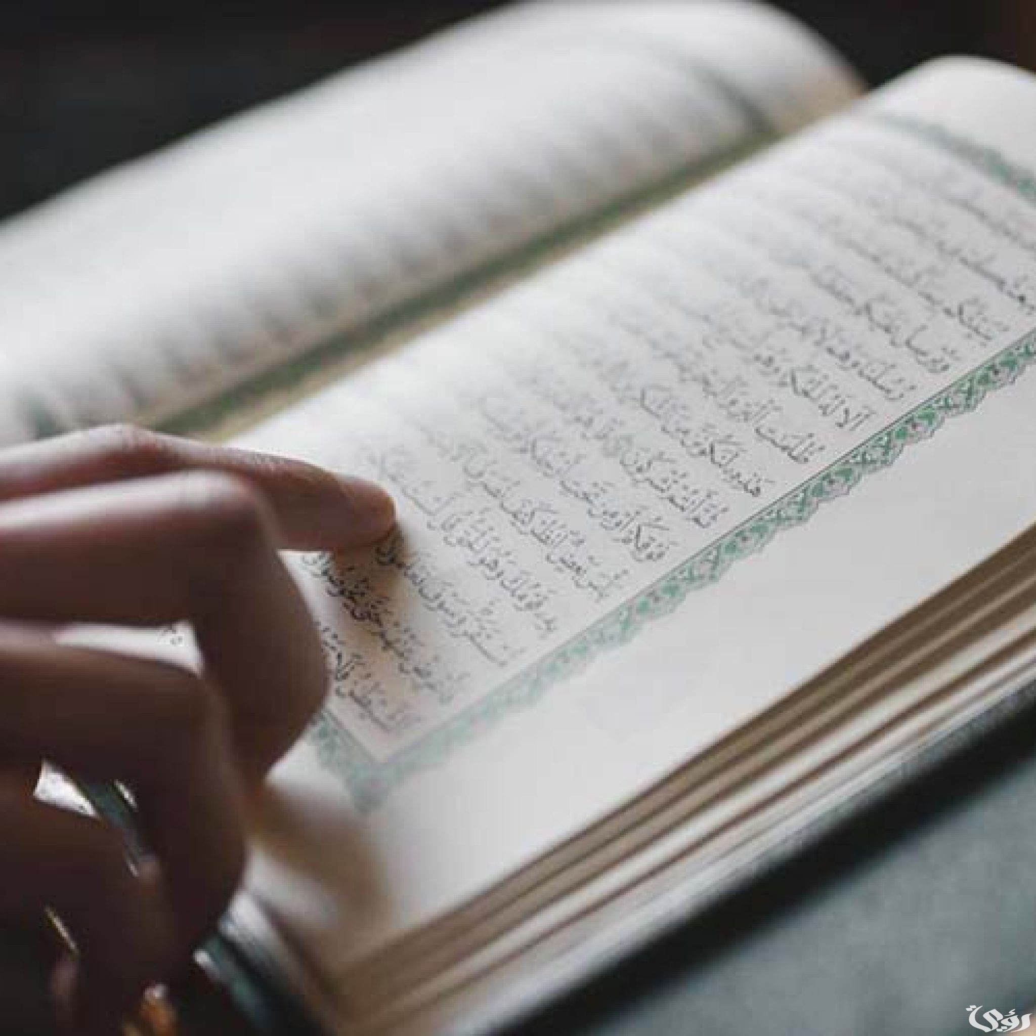 بحث عن الحذف والإثبات 8 بحث عن الحذف والإثبات