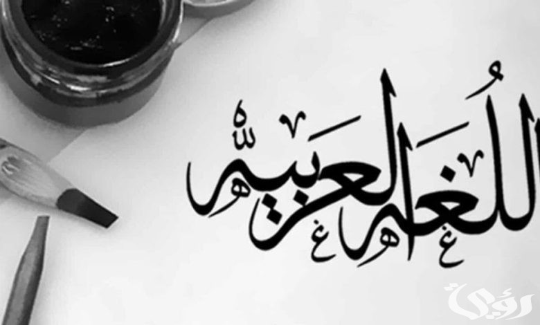 بحث عن الحذف والزيادة