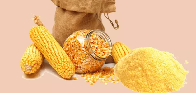 بحث عن الذرة