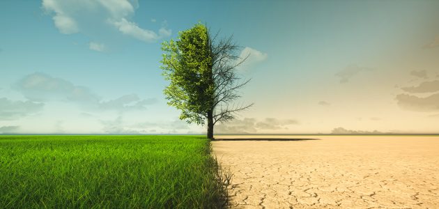 بحث عن الظروف المناخية