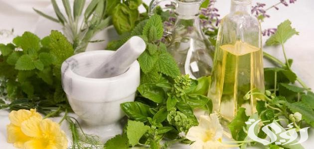 بحث عن النباتات الطبيعية بالصور كامل 2 بحث عن النباتات الطبيعية بالصور 3