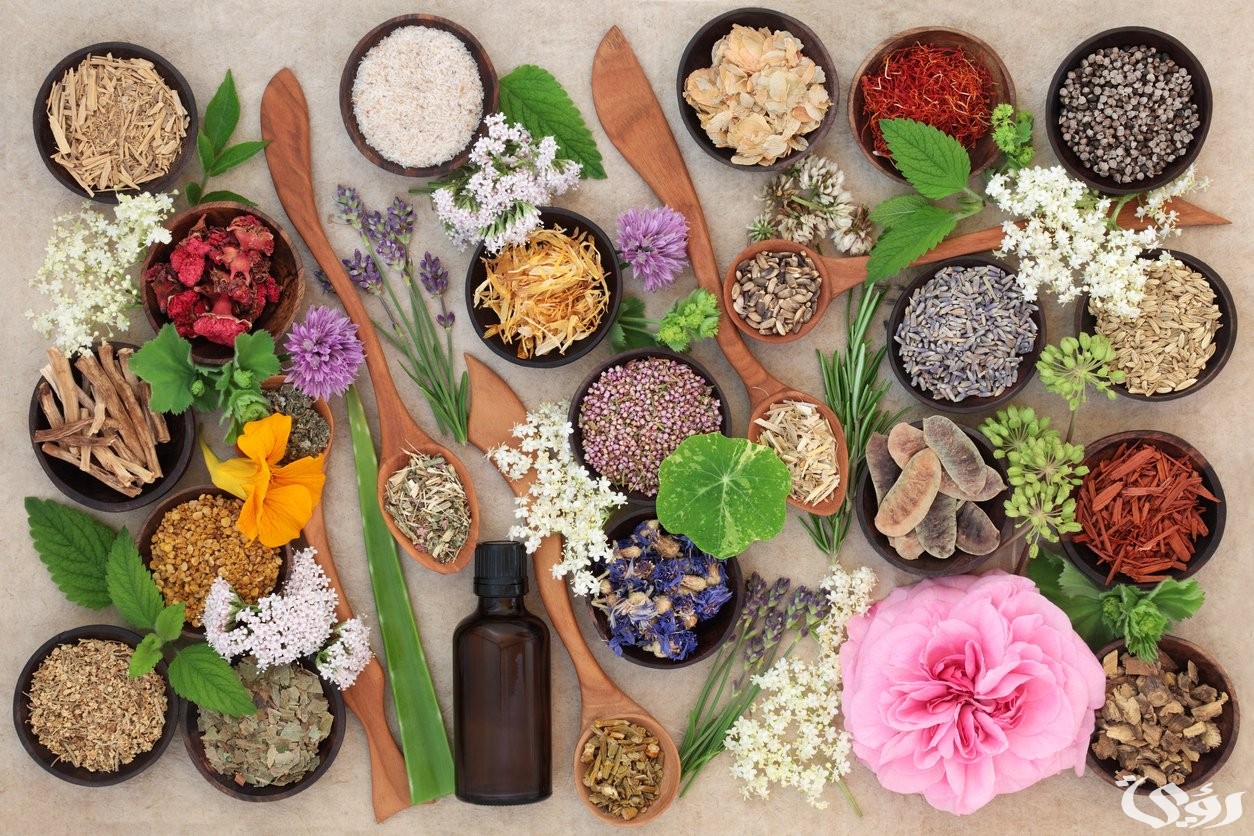 بحث عن النباتات الطبيعية