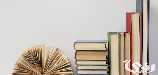 بحث عن النظرية النقدية