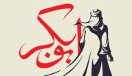 بحث عن سيدنا أبو بكر الصديق