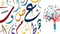 بحث عن ضمائر المتكلم