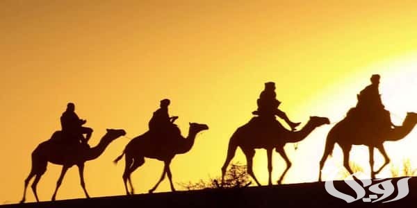 بحث عن كعب بن مالك