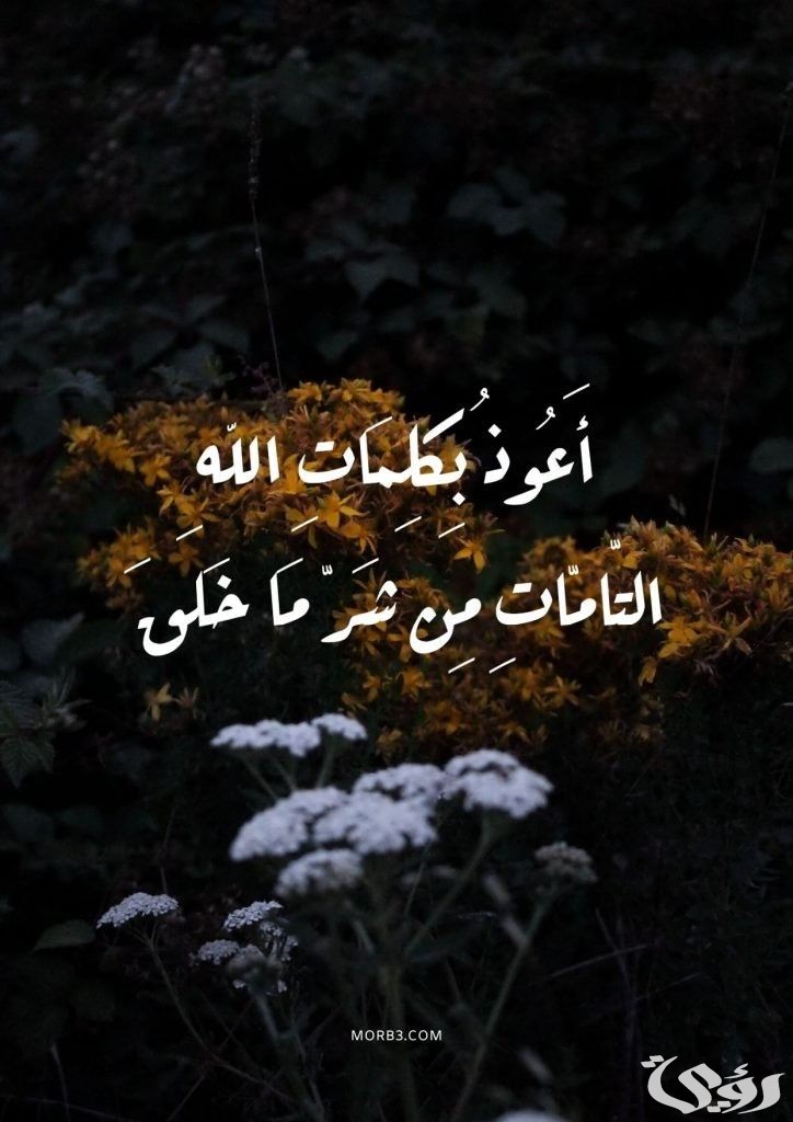 تفسير رؤية كلمة أعوذ بكلمات الله التامات من شر ما خلق في المنام 4 تفسير أعوذ بكلمات الله التامات من شر ما خلق في المنام