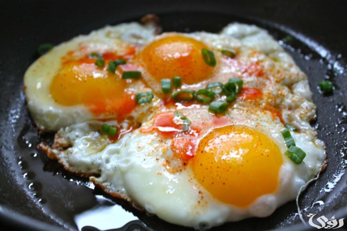 تفسير حلم رؤية اكل البيض المقلي في المنام 4 تفسير حلم اكل البيض المقلي