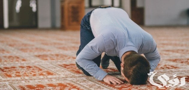 ما هي السورة التي تقرأ بعد صلاة العشاء