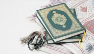 ما هي السورة التي تنتهي جميع اياتها بحرف الياء