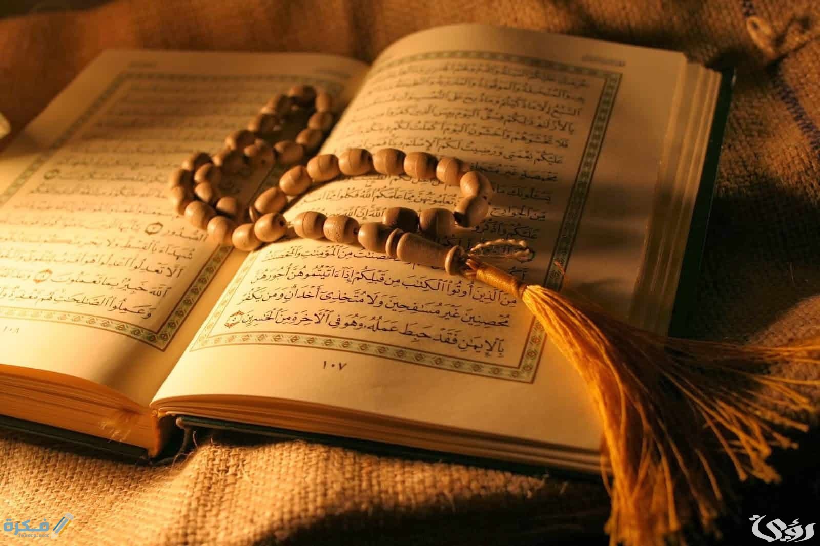 ما هي السورة التي لا يوجد فيها حرف الكاف