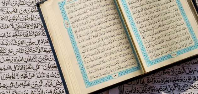 هي السورة التي نزلت بحق أهل البيت عليهم السلام 1