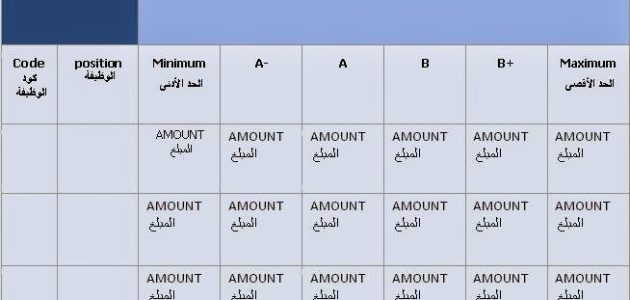 نموذج هيكل رواتب