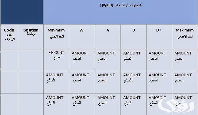 نموذج هيكل رواتب