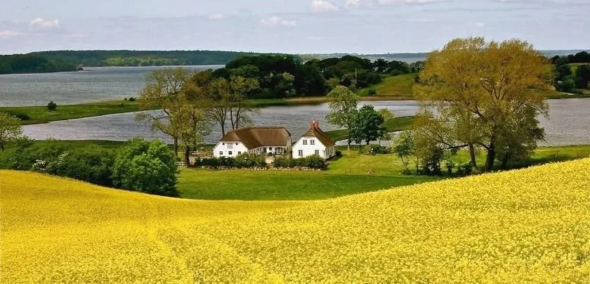 وضعية إدماجية عن جمال الريف