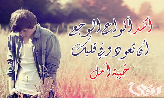 images 2023 02 16T185440.511