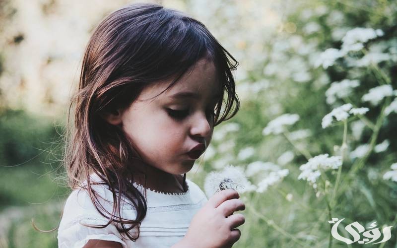 تفسير حلم البنات الصغار في المنام