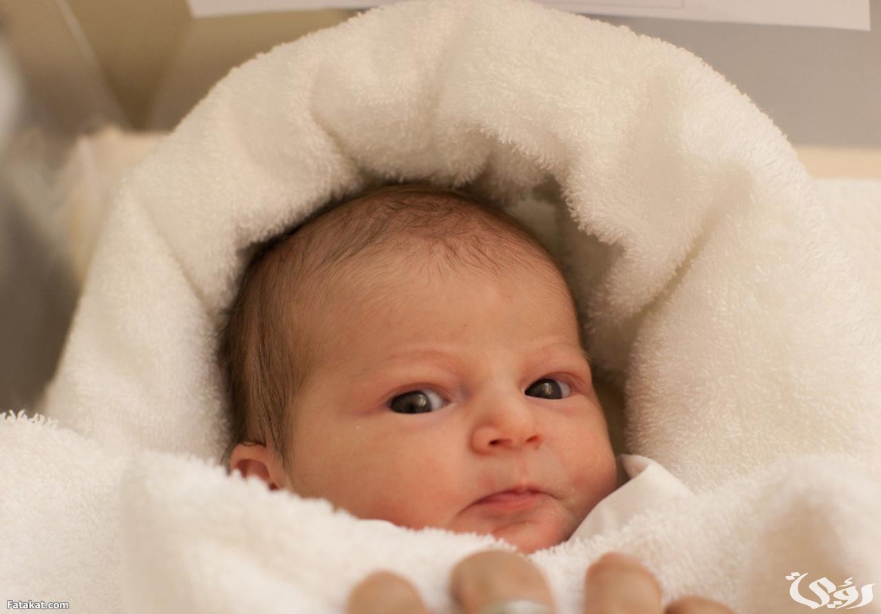رؤية ابنتي الصغيرة في المنام