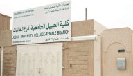 كم نسب قبول كلية الجبيل الجامعية 1447