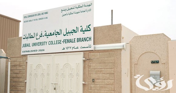 نسب قبول كلية الجبيل الجامعية