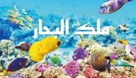 500+ أسماء مطاعم سمك  عربي وانجليزي 2026