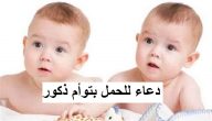150+ دعاء للحمل بتوأم ذكور واناث مكتوب