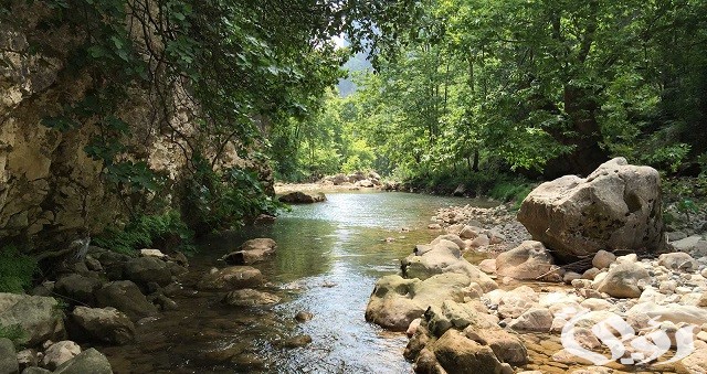 أسماء العيون الجارية