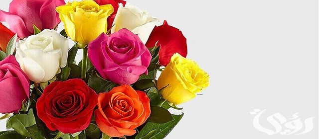 30+ أسماء بنات من الصحابة ومعانيها 1 أسماء بنات من الصحابة