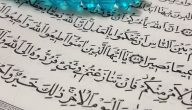اذاعة مدرسية عن طاعة ولي الأمر