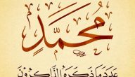 اذاعة مدرسية عن فضل الصلاة على النبي 