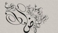 اذاعة مدرسية عن لغة الضاد