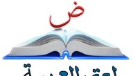 اذاعة مدرسية عن لغتي العربية