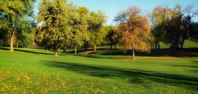 اذاعة مدرسية عن لنجعلها خضراء