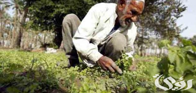 تعبير عن دور الفلاح في المجتمع