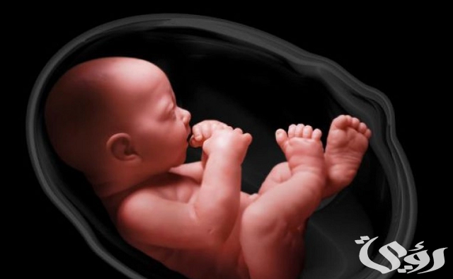 دعاء إجهاض الجنين