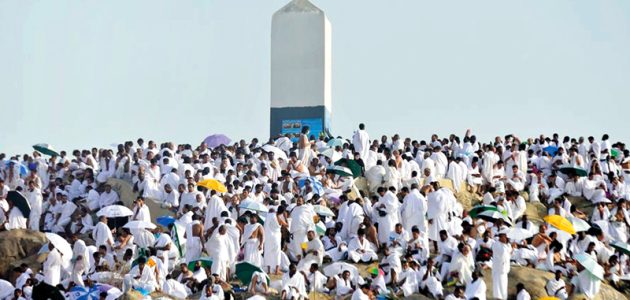 تفسير رؤية الميت على جبل عرفات