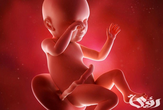 دعاء لزيادة وزن الجنين