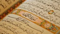 100+ دعاء للزواج من شخص تريده مكتوب