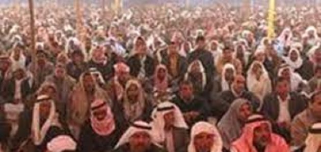 هل السواركة أكبر قبيلة في شمال سيناء !