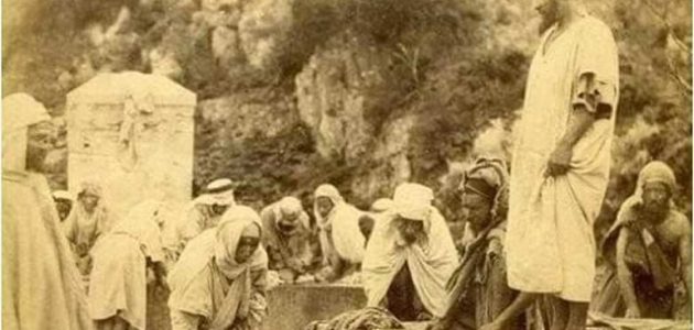 معرفة شجرة العائلة في الجزائر