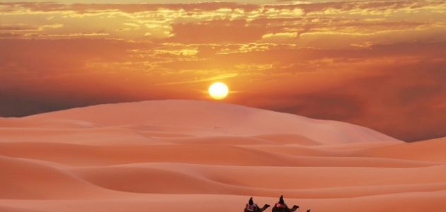 أصول عائلة المفرجي من أي قبيلة؟