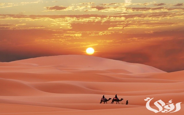 أصول عائلة المفرجي من أي قبيلة؟