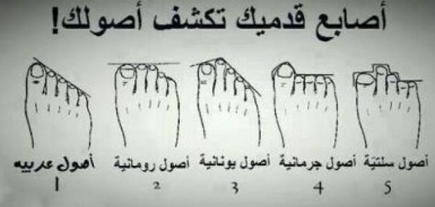 شرح خطوات معرفة النسب من أصابع القدم