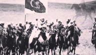 قبائل شمر وعشائرها وش يرجعون